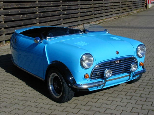 Mini Trike rear