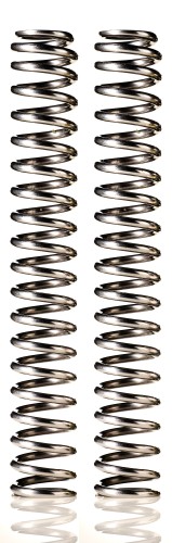 Artikelbild des Artikels “Wilbers Gabelfeder - Zero friction - progressiv “