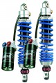 Shock absorber type C31 TS 